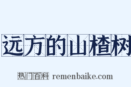远方的山楂树是什么意思的图片